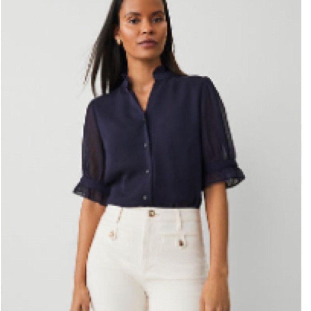 Ann Taylor night Sky Sheer Sleeve Blouse